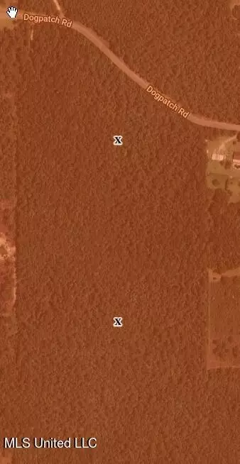 Dogpatch Road, Kiln, MS 39556 photo 15