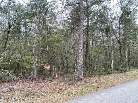 Dogpatch Road, Kiln, MS 39556 photo 3