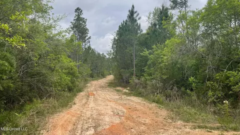 Dogpatch Road, Kiln, MS 39556 photo 5