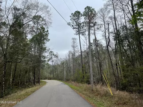 Dogpatch Road, Kiln, MS 39556 photo 6
