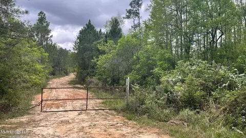 Dogpatch Road, Kiln, MS 39556 photo 12
