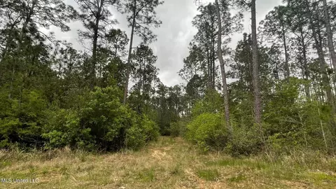 Dogpatch Road, Kiln, MS 39556 photo 10