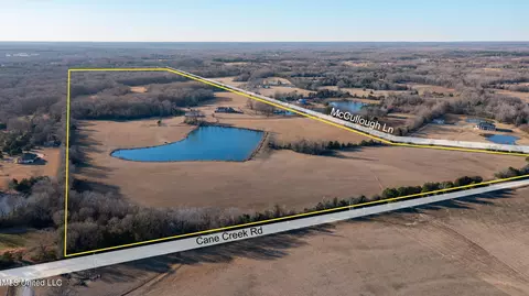 View/Area - 280 Mccullough Ln, Flora, MS 39071 photo 3 of 7
