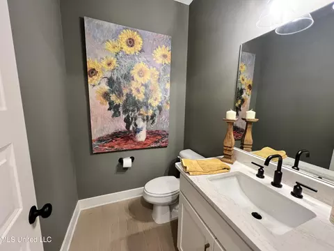 Bath - 6944 Sunrise Loop S, Olive Branch, MS 38654 photo 2 of 4