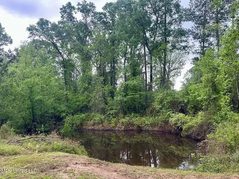 Other - 137 Louis Ln, Lucedale, MS 39452 photo 1 of 3
