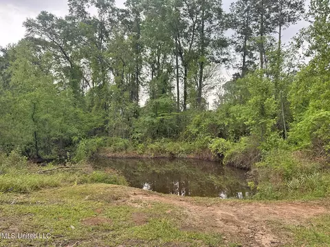 Exterior - 137 Louis Ln, Lucedale, MS 39452 photo 5 of 10
