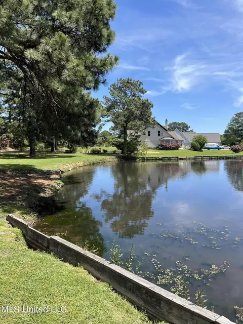 View/Area - 60 Sycamore Ln, Brandon, MS 39042 photo 2 of 3