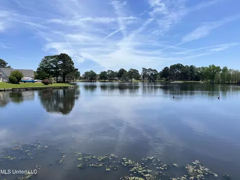 View/Area - 60 Sycamore Ln, Brandon, MS 39042 photo 3 of 3