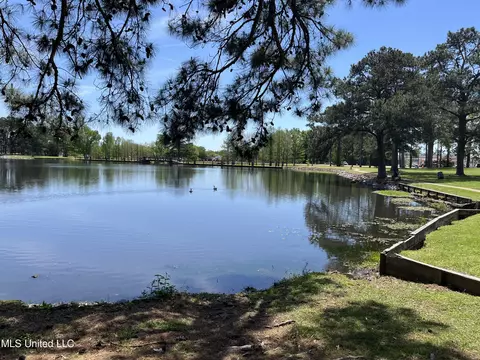 View/Area - 60 Sycamore Ln, Brandon, MS 39042 photo 1 of 3