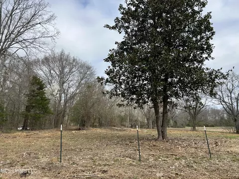 N Old Canton Road, Canton, MS 39046 photo 3