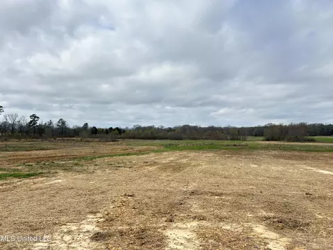 N Old Canton Road, Canton, MS 39046 photo 13