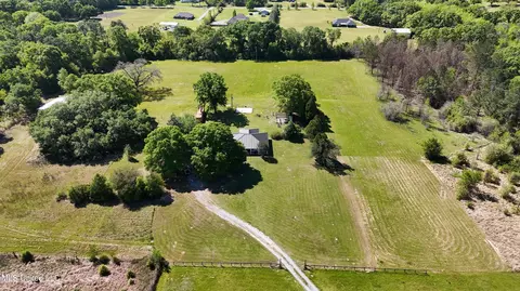 View/Area - 7110 Tanner Williams Rd, Lucedale, MS 39452 photo 8 of 8
