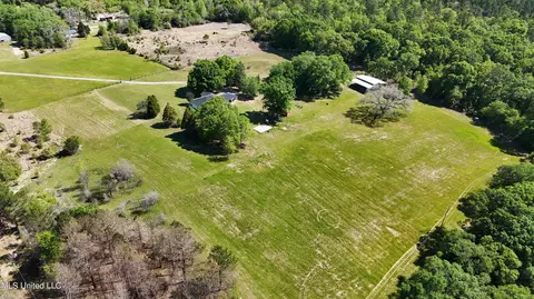 View/Area - 7110 Tanner Williams Rd, Lucedale, MS 39452 photo 4 of 8