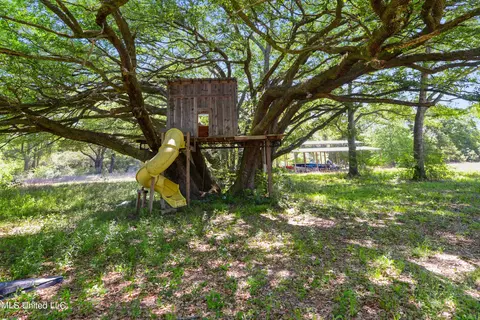 Exterior - 7110 Tanner Williams Rd, Lucedale, MS 39452 photo 5 of 7
