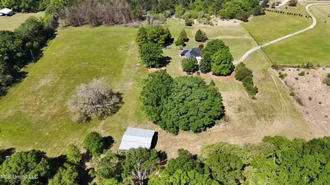View/Area - 7110 Tanner Williams Rd, Lucedale, MS 39452 photo 5 of 8