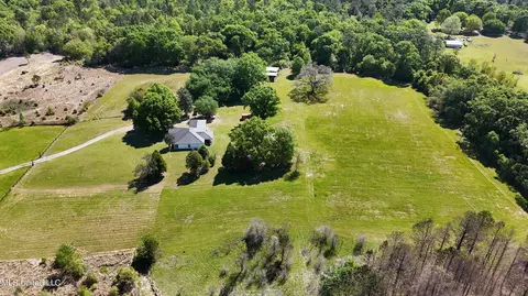 View/Area - 7110 Tanner Williams Rd, Lucedale, MS 39452 photo 1 of 8