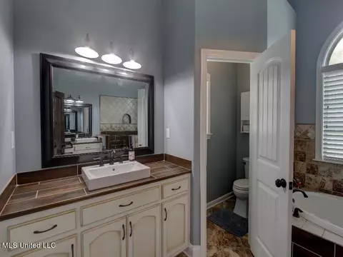Bath - 1380 Fieldstone St, Hernando, MS 38632 photo 4 of 7
