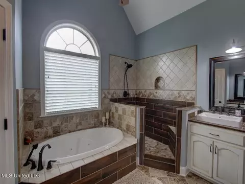 Bath - 1380 Fieldstone St, Hernando, MS 38632 photo 3 of 7