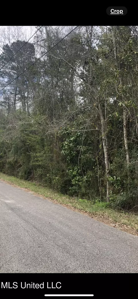 0 Silvercliffe Dr, Gautier, MS 39553