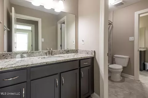 Bath - 915 Lanere Dr, Olive Branch, MS 38654 photo 6 of 7