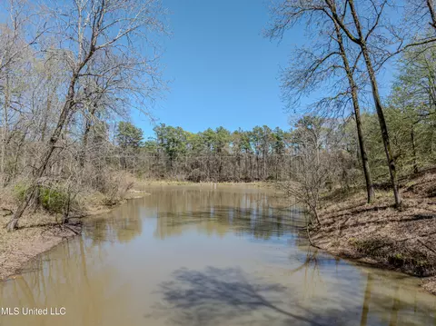 8948 E Thunderbird Dr, Hernando, MS 38632 photo 12