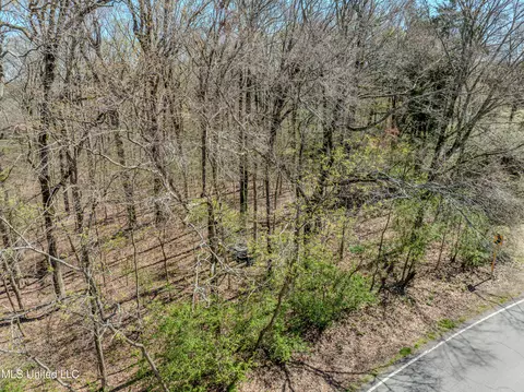 8948 E Thunderbird Dr, Hernando, MS 38632 photo 7