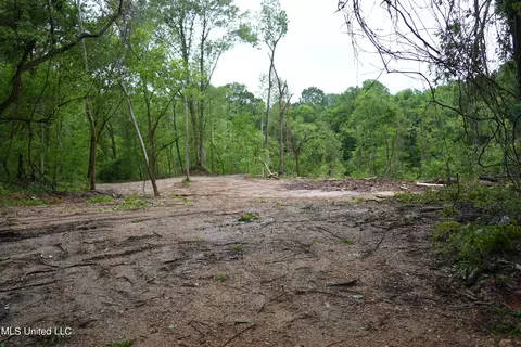 0 Old Port Gibson Rd, Hermanville, MS 39086