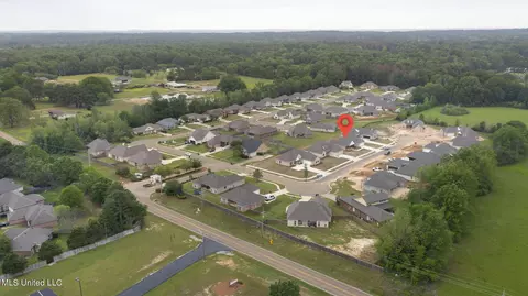 107 Porter Ridge Dr, Canton, MS 39046 photo 41