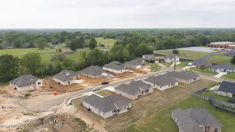 107 Porter Ridge Dr, Canton, MS 39046 photo 50