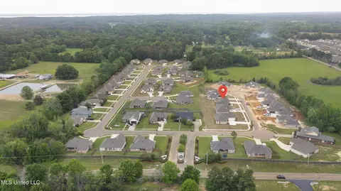 107 Porter Ridge Dr, Canton, MS 39046 photo 43