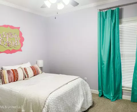 907 Caitlin Cv, Brandon, MS 39047 photo 14