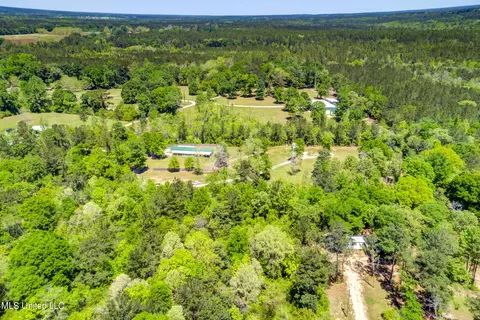 View/Area - 70 N Grace Rd, Wiggins, MS 39577 photo 6 of 17