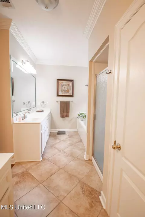 Bath - 111 Farrington Pl, Madison, MS 39110 photo 2 of 10