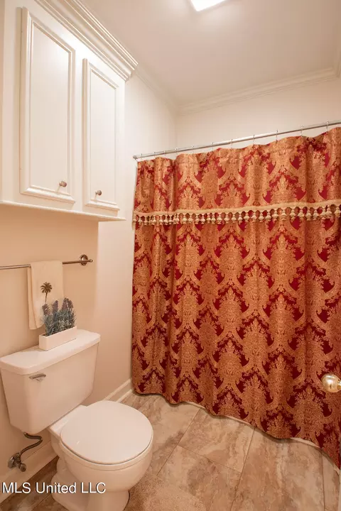 Bath - 111 Farrington Pl, Madison, MS 39110 photo 10 of 10