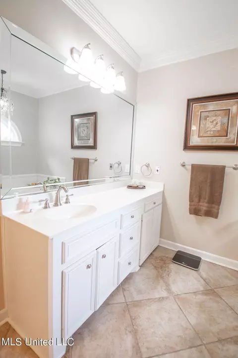 Bath - 111 Farrington Pl, Madison, MS 39110 photo 3 of 10