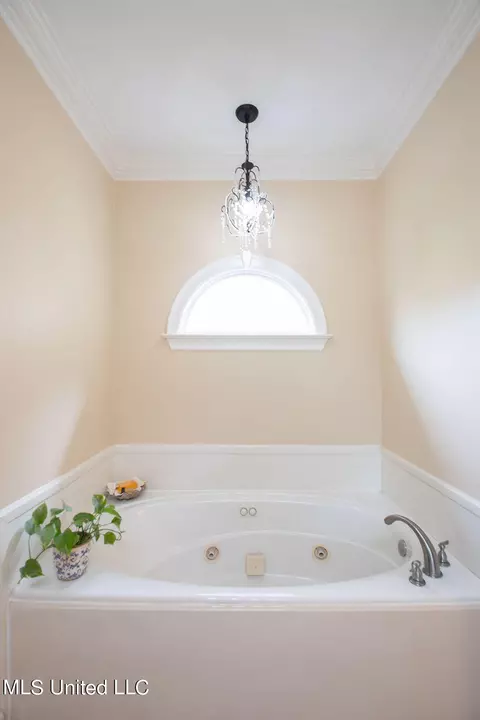 Bath - 111 Farrington Pl, Madison, MS 39110 photo 5 of 10