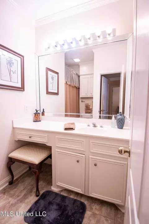 Bath - 111 Farrington Pl, Madison, MS 39110 photo 7 of 10