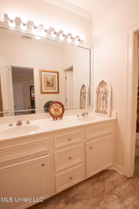 Bath - 111 Farrington Pl, Madison, MS 39110 photo 9 of 10
