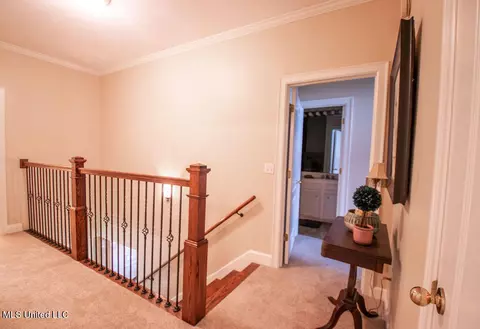 Entry Way - 111 Farrington Pl, Madison, MS 39110 photo 3 of 3