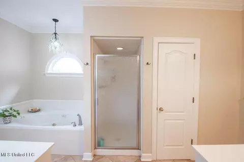 Bath - 111 Farrington Pl, Madison, MS 39110 photo 6 of 10
