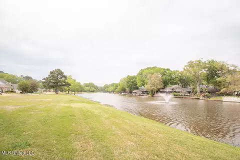 View/Area - 111 Farrington Pl, Madison, MS 39110 photo 1 of 2
