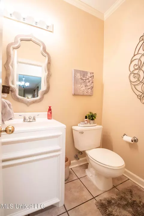 Bath - 111 Farrington Pl, Madison, MS 39110 photo 1 of 10