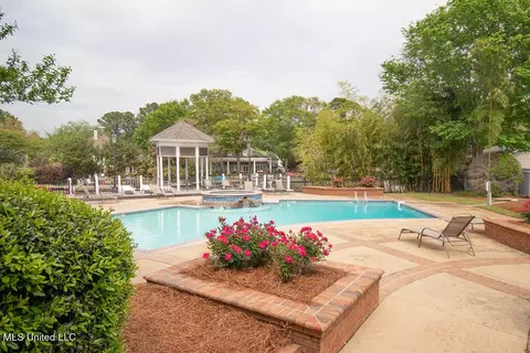 Exterior - 111 Farrington Pl, Madison, MS 39110 photo 11 of 12