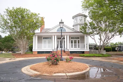 Exterior - 111 Farrington Pl, Madison, MS 39110 photo 10 of 12