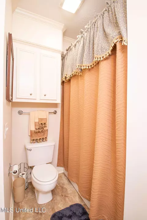 Bath - 111 Farrington Pl, Madison, MS 39110 photo 8 of 10