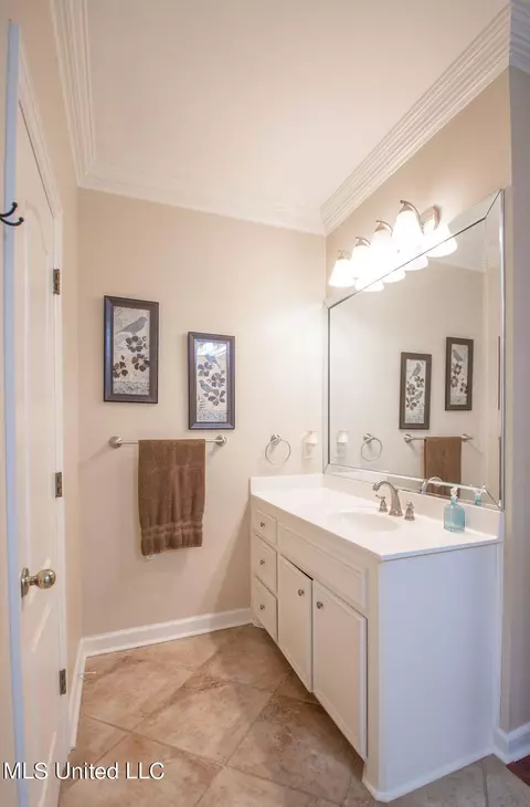Bath - 111 Farrington Pl, Madison, MS 39110 photo 4 of 10