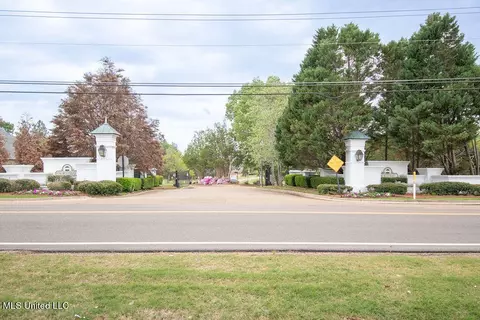 View/Area - 111 Farrington Pl, Madison, MS 39110 photo 2 of 2