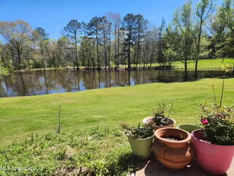 6152 Terry Rd, Byram, MS 39272 photo 15