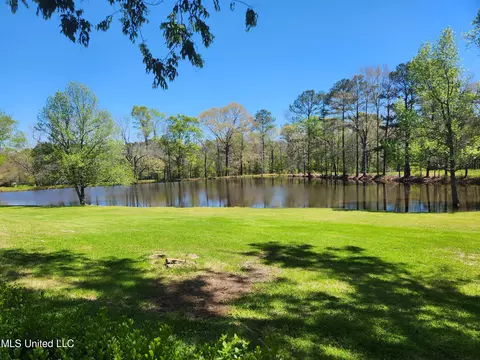 6152 Terry Rd, Byram, MS 39272 photo 21