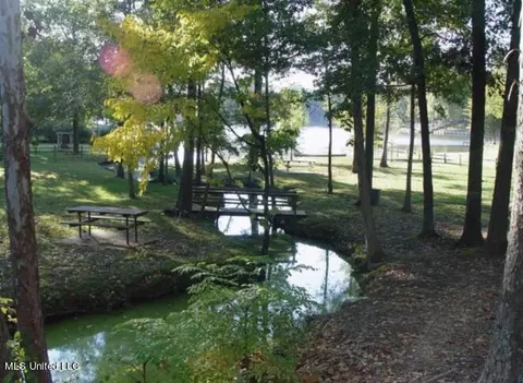 View/Area - 4367 Starlanding Rd, Nesbit, MS 38651 photo 3 of 3